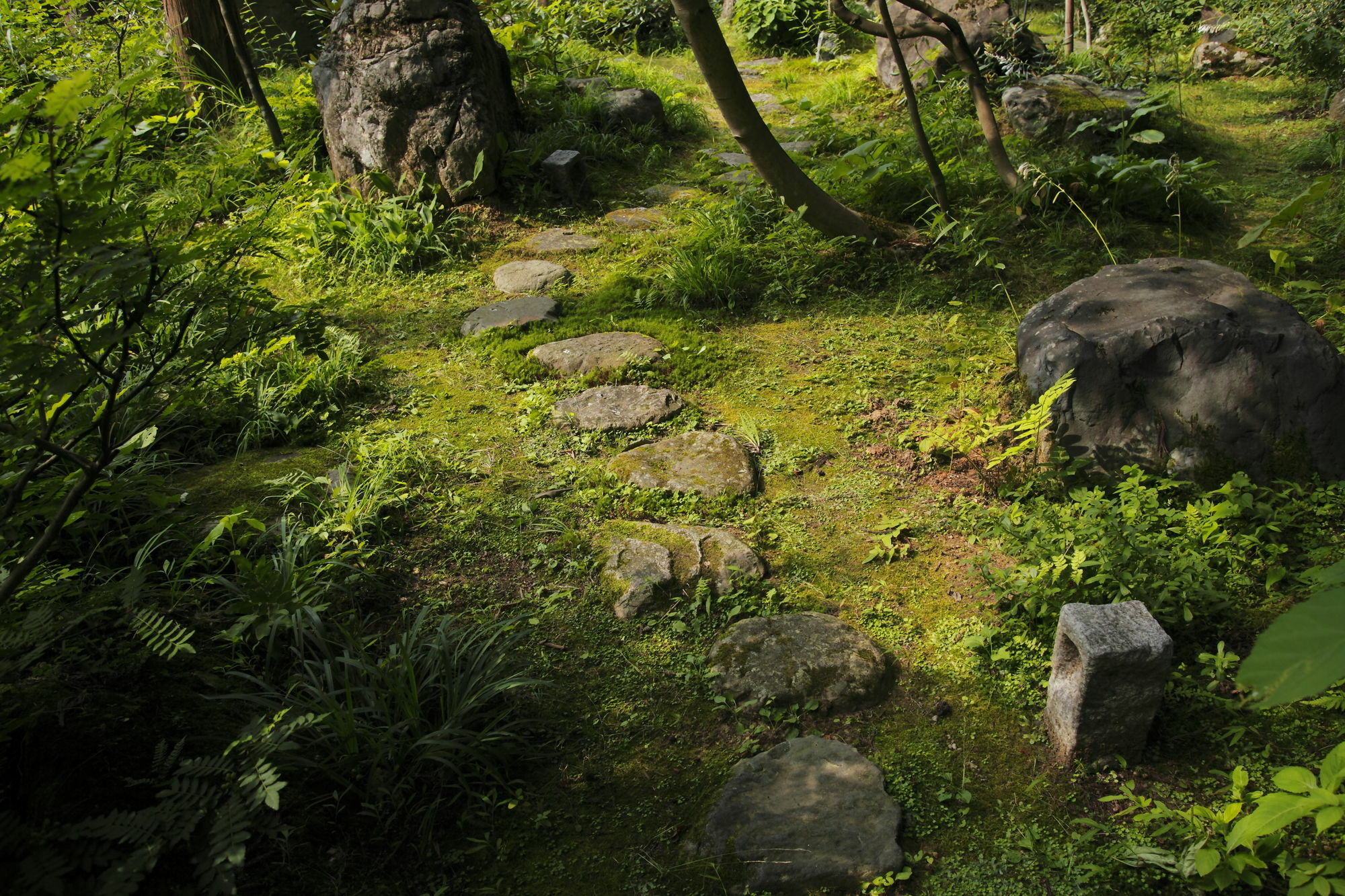 Ichirino Kogen Hotel Roan Hakusan Экстерьер фото