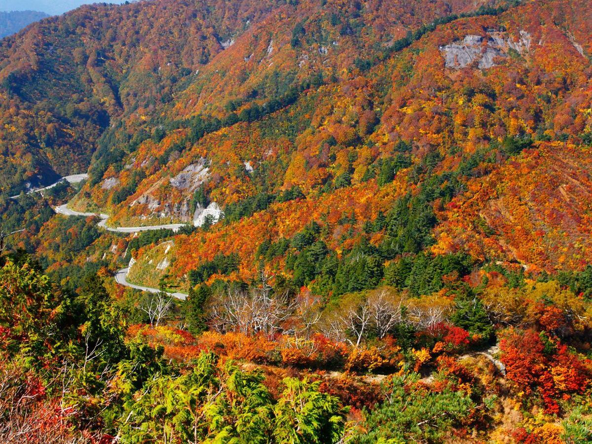 Ichirino Kogen Hotel Roan Hakusan Экстерьер фото